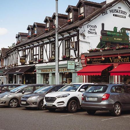 Muskerry Arms Bar And B&B ブラーニー エクステリア 写真